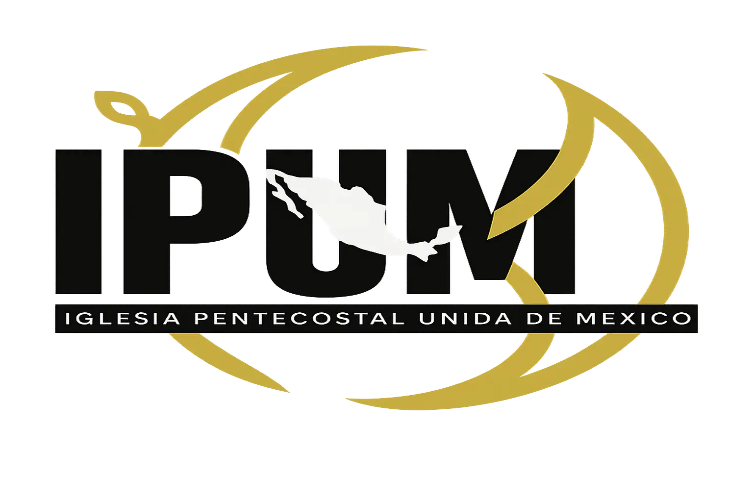 Logo IPUM